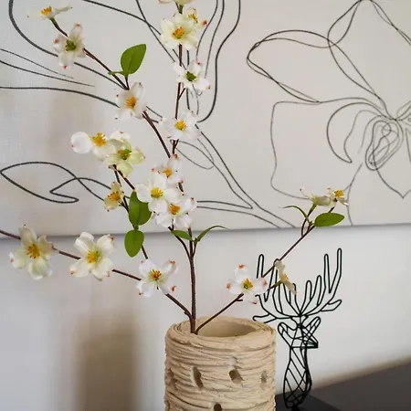 アパートホテル Borgo & Mare - Localo メレンドゥーニョ